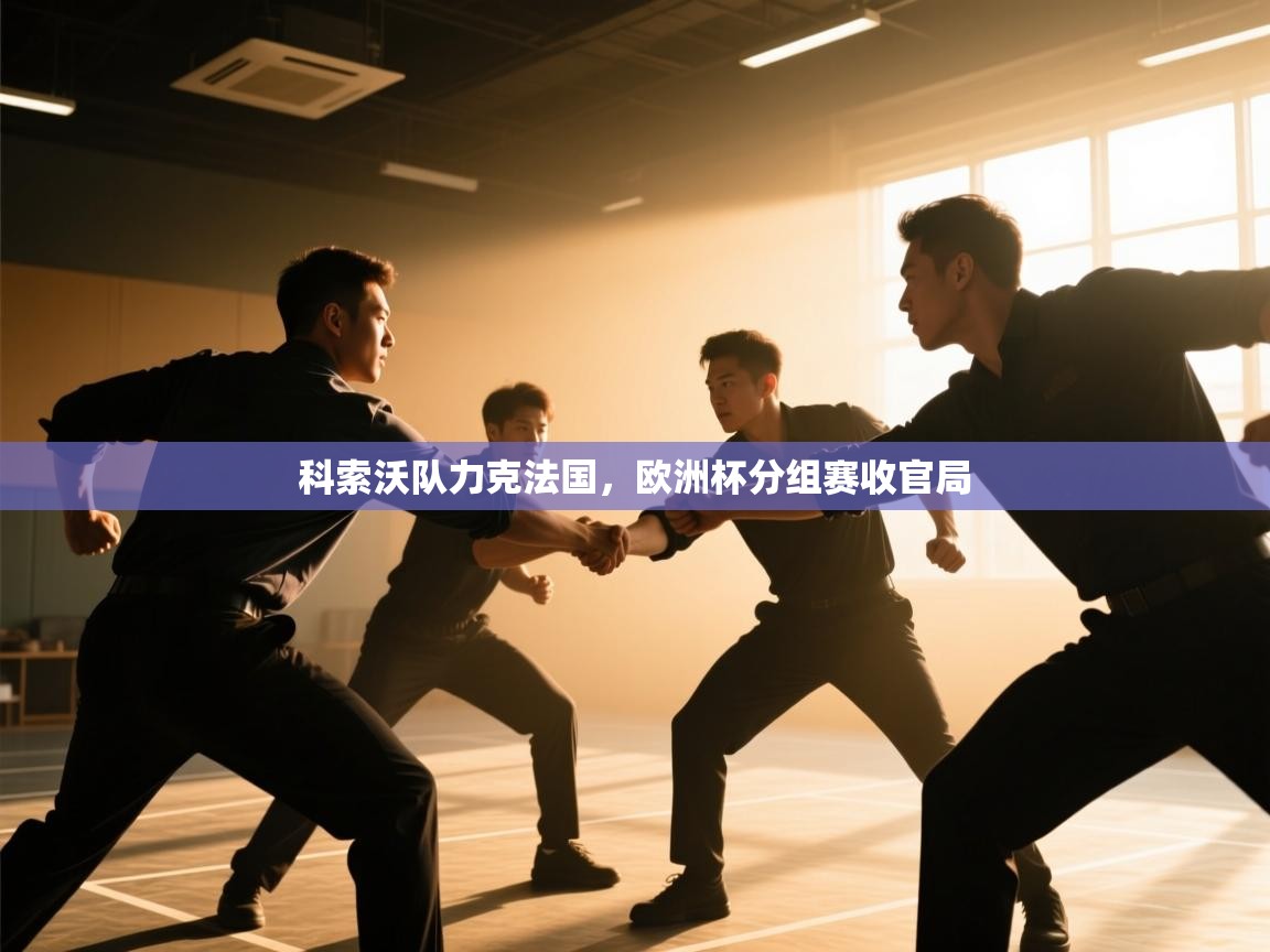 科索沃队力克法国，欧洲杯分组赛收官局